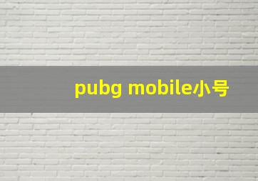 pubg mobile小号